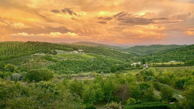 Discover the Magic of Tuscany Vespa Tours: Explore Chianti’s Castles, Vineyards, and Wines