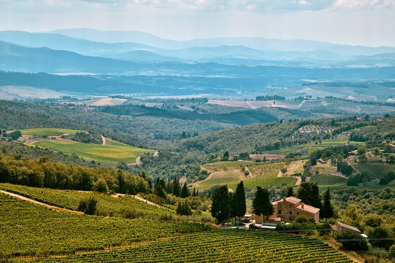 Olive Groves and Cellars: Tuscany’s Tastiest Bike Routes