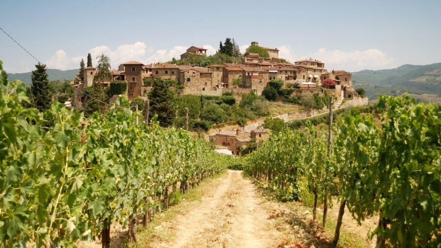 chianti vespa tour (2)